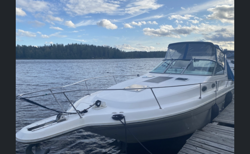 Sea Ray Sundancer 290-kuva-3